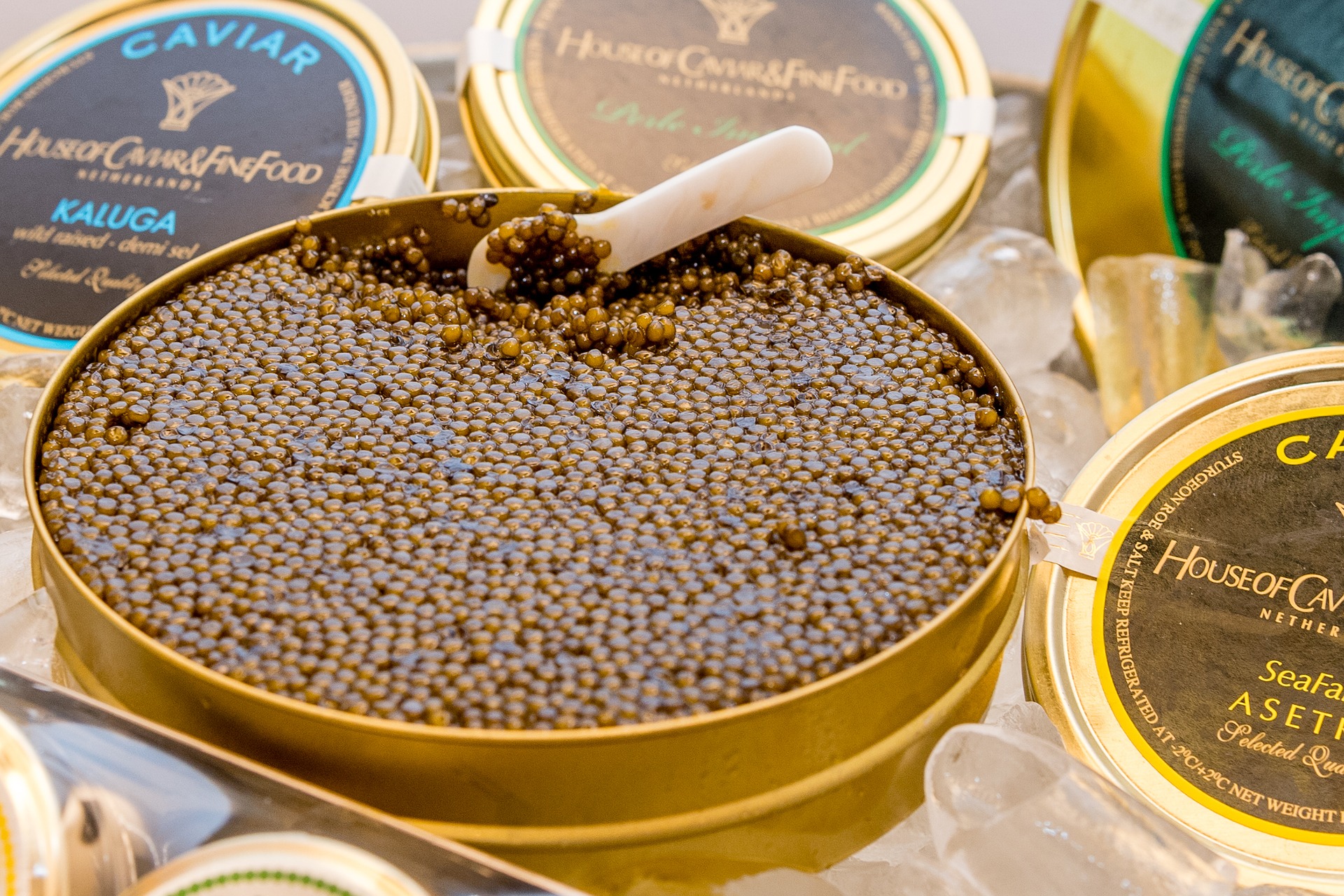Caviar: Nutrition facts and Information - Fish & Caviar